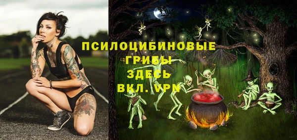стафф Армянск