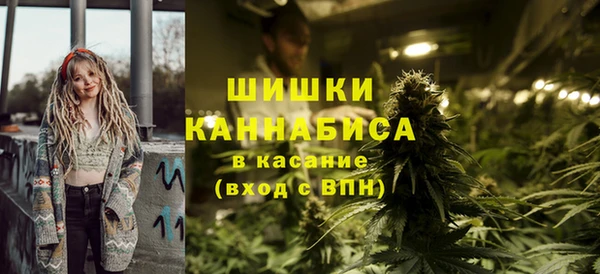 крисы Арсеньев