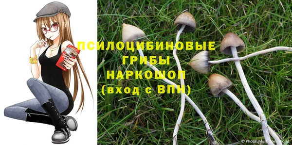 мескалин Аркадак